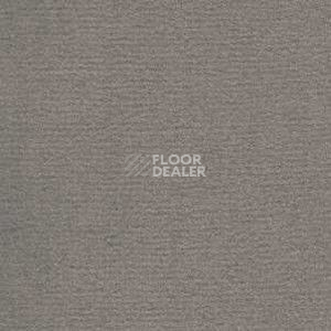 Ковролин Radici Nexus Fumo 8243 фото 1 | FLOORDEALER